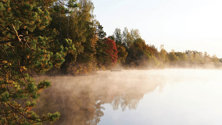 Photography of lovely and relaxing autumn woods and foggy river with clear sky in daytime 