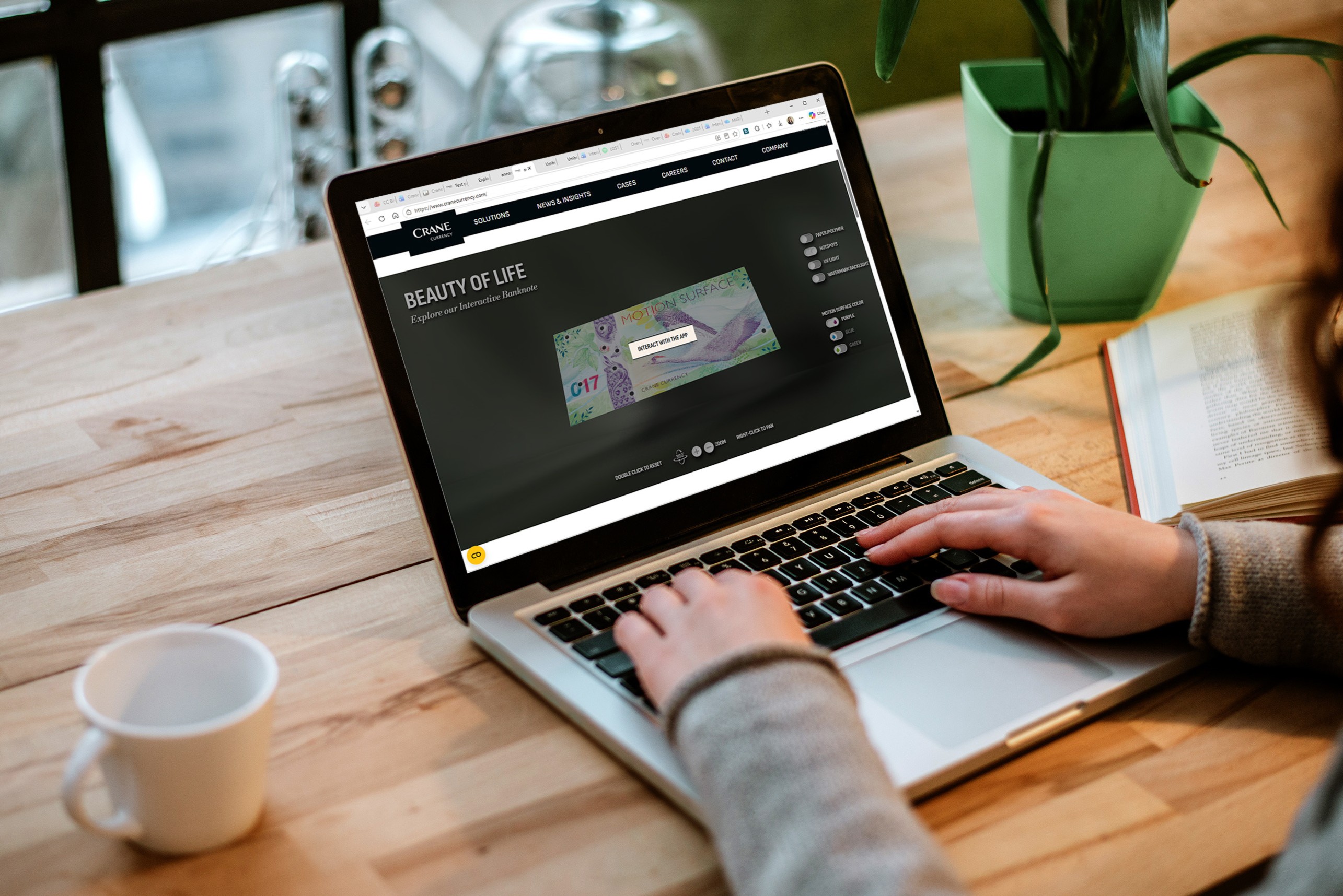 picture of the interactive app on a laptop screen