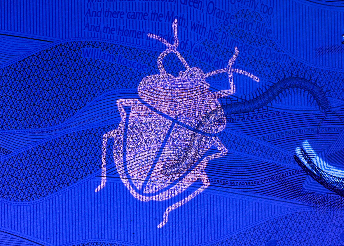 UV Beetle